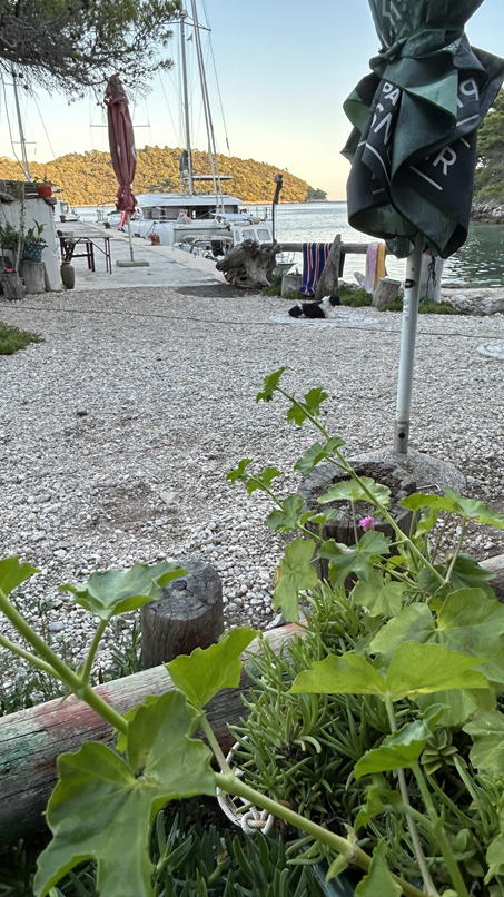 Bucht auf der Insel Mrčara in Süddalmatien