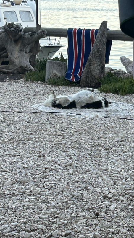 Entspannte Atmosphäre auf Mrčara